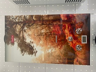 Газовая колонка ЛАРГАЗ декор 10 л. ОСЕНЬ XD