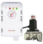 Система Контроля Загазованности (GD50-CN + GV80 DN25) Кенарь