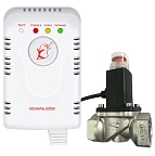 Система Контроля Загазованности (GD50-CN + GV80 DN20) Кенарь