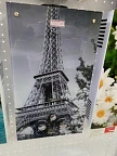 Газовая колонка ЛАРГАЗ декор 10 л. ПАРИЖ XD